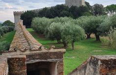 Le Margherite - Foto 2