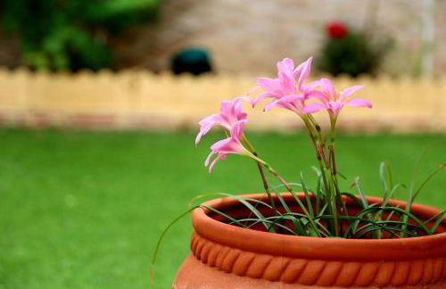 Villa Tres Palmeras en Alfaz del Pi , Albir, Benidorm - Photo 58