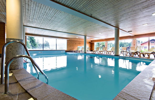 Odésia Vacances Chalet le Grépillon - Foto 7