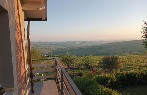 NiFe Tiny House - Secret Garden - Photo 59