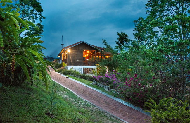 Winíka Alterra - Foto 16