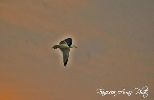 Residence L'Isola Surf House - Photo 99