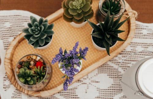 A Casa di Giulia - Foto 31