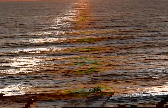 Sun Camero Apartments - Photo 33