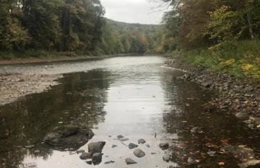 Apartment on the Battenkill River - Foto 3