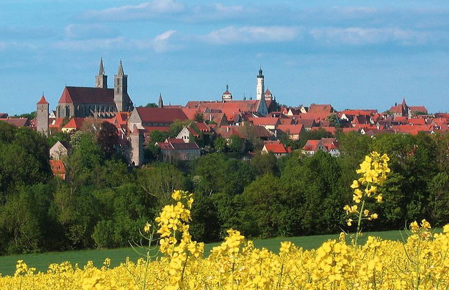 Billet d'autocar pour la route romantique de Francfort à Rothenburg - aller simple - Photo 5