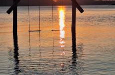 Family and pet friendly apartment Frankopan Croatia - Photo 29