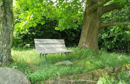 Wolfsmühle - Foto 39