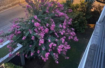 Comfortable apartment - Monza park with garage - Foto 4