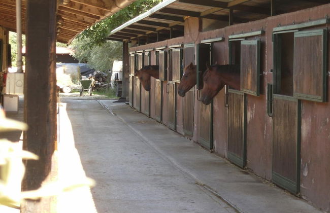 Relais Magione Papale - Photo 49