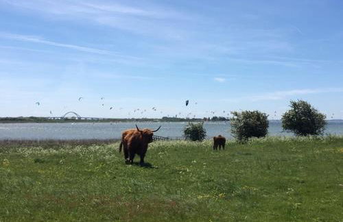 Zur Mühle Lemkenhafen auf Fehmarn - Foto 37