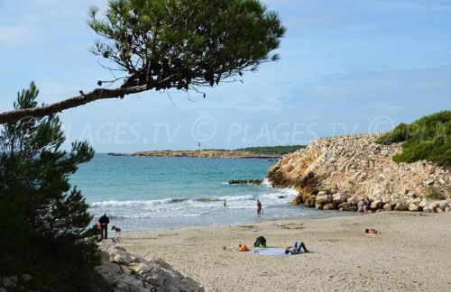 Sous le soleil des Alpilles - Foto 44