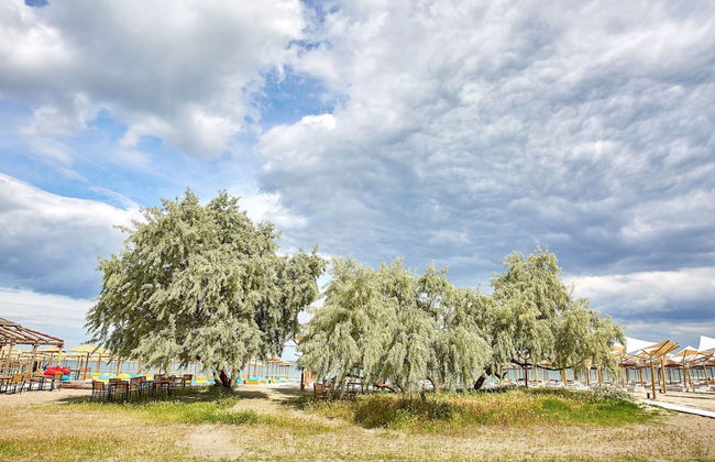 Apartamente Sea View - Foto 73