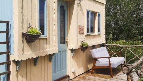 Rosie - Uk49025 - Foto 5