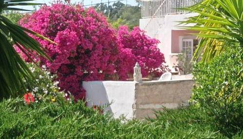 Casa Olivier - Foto 4