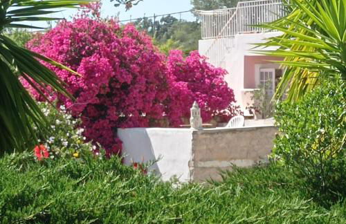 Casa Olivier - Foto 4