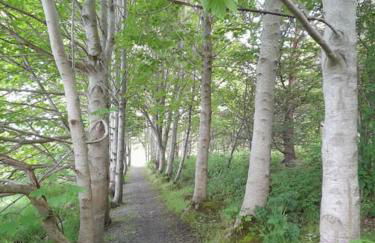 THE LAKE HOUSE: a delightful and peaceful retreat. - Foto 15