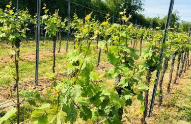 Wohnung Feldmann - Foto 25