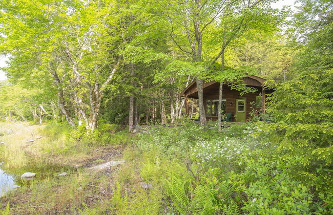 Mersey River Chalets a nature retreat - Foto 52