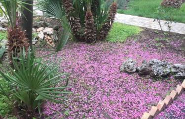 Villa Giada - Foto 41