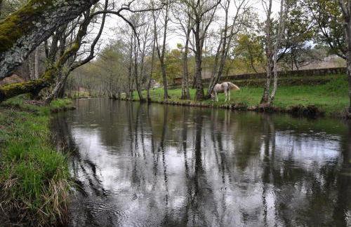 Casa Rural Las Jañonas CC-CR-00219 - Foto 15