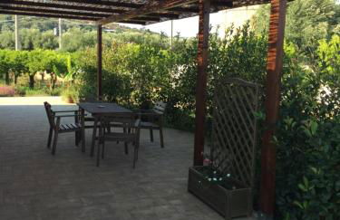 Agriturismo Le terre di zoe' - Foto 84