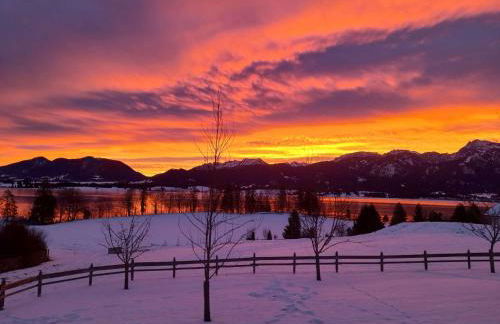 Ferienhof Haug - Foto 10