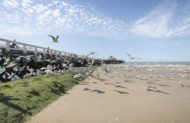 La Marée with parking & lateral seaview - Foto 30