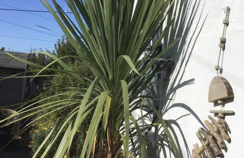 Small self contained room - Foto 26