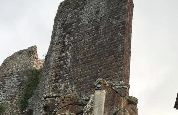 Logement calme et chaleureux dans villa - Foto 35