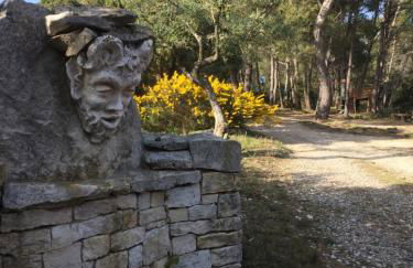 La Pujauline - Photo 9