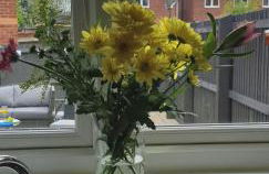 Hollybrae house Sleeps up to 6 - Foto 27