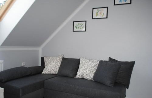 Apartament Nad Jeziorem Kaszuby - Foto 35