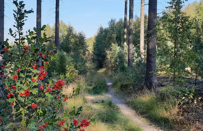 Limbourg Getaway With Charm - Foto 37