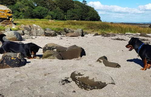 4 Laigh Isle - Foto 20