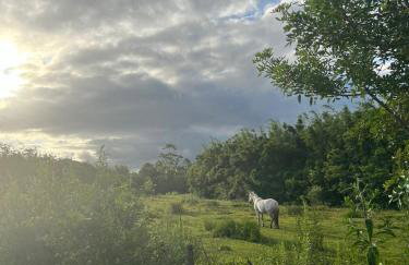 Osório Casa Rústica na Lagoa para 5 pessoas 2 quartos 250 metros da lagoabanhável 15 min da praia wiFi natureza tranquilidade - Foto 46