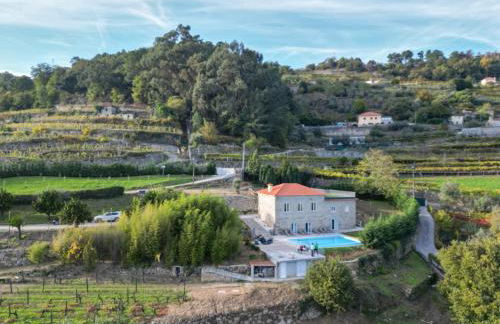 Bosque da Fantasia - Foto 59