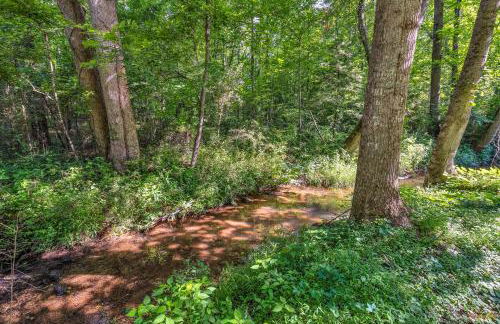 Pet-Friendly Pickens Vacation Rental with Fire Pit - Foto 40