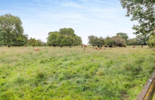 3 Bed in Bungay oc-taf - Photo 37