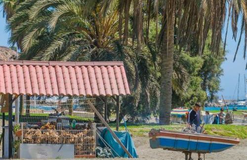 Cubo's Miraflores del Palo Urban - Photo 42