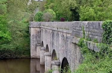 Côté Vignes - Foto 12