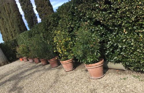 Villa Il Padule - Foto 76