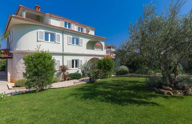 Salamander - Foto 64