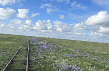 Gaestehaus Nuke - Foto 9