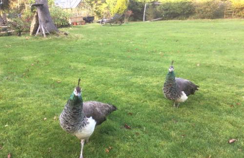 Lakewood Courtyard Northumberland - Foto 10