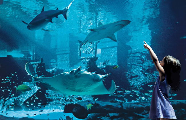 Harborside - Foto 18