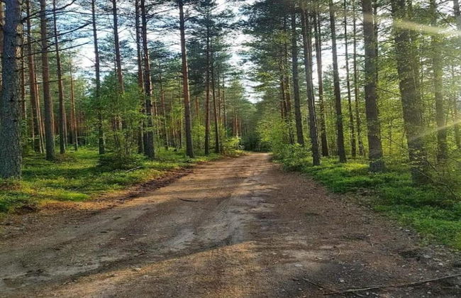 Ski, Sauna, and Scandinavian Serenity Chalet - Foto 34