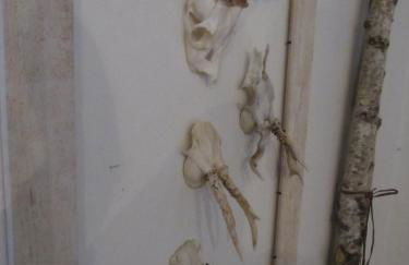 Haus Sonnenblick - Foto 6