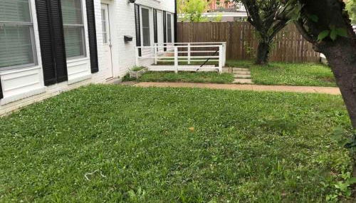 CLARENDON,SUPRLOCATION,8ppl,PRIVATE,METRO,PARK - Foto 5, Garden