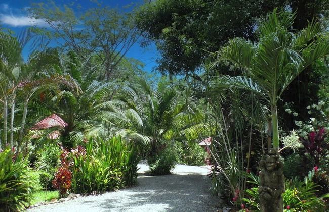 Cabinas Costa Tropicana - Foto 36